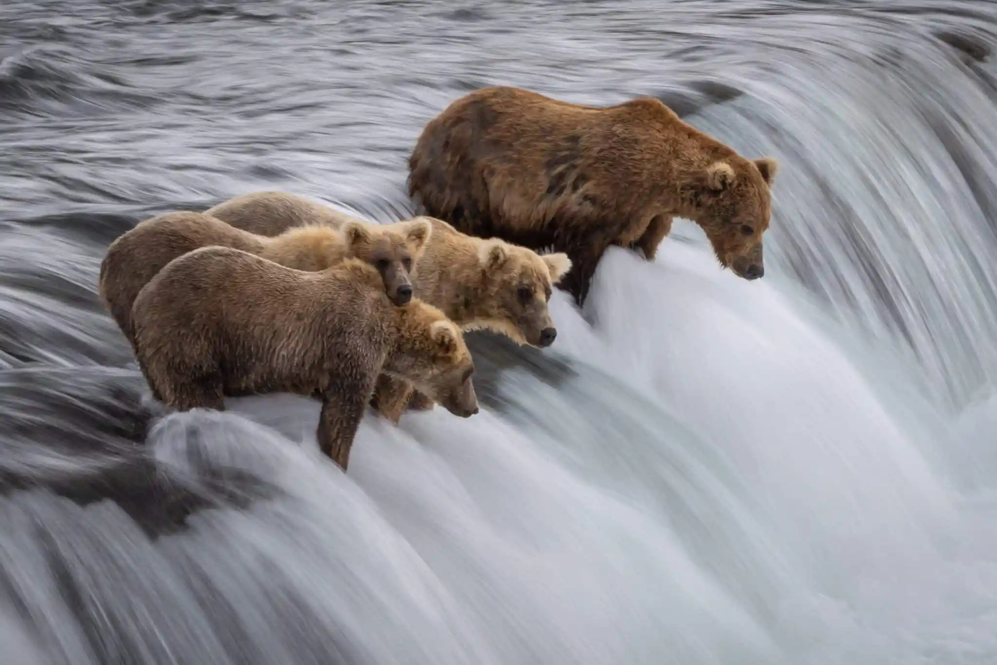 Katmai National Park Landing