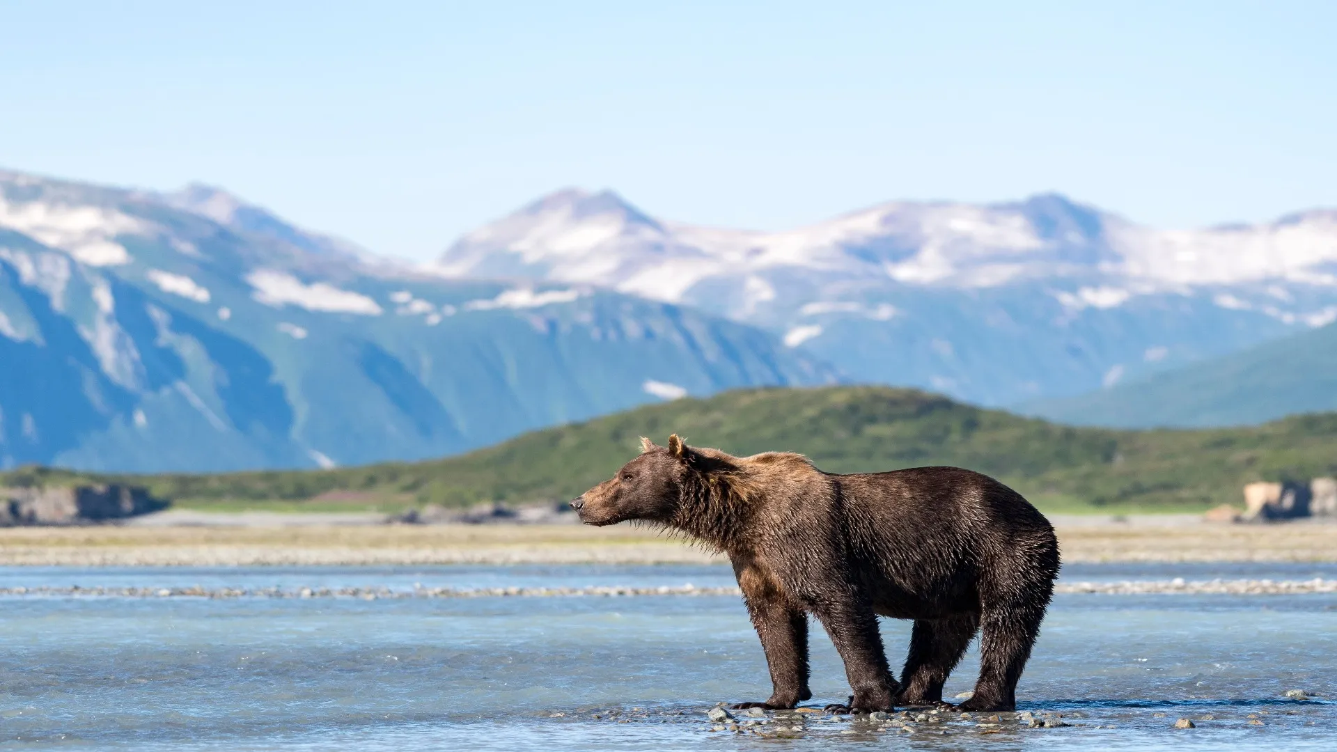 Katmai Coastline