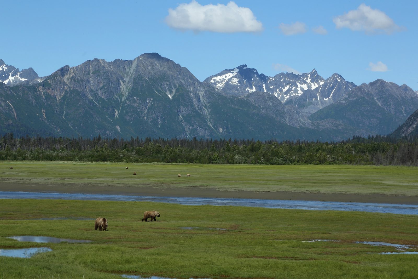 Sedge Meadows