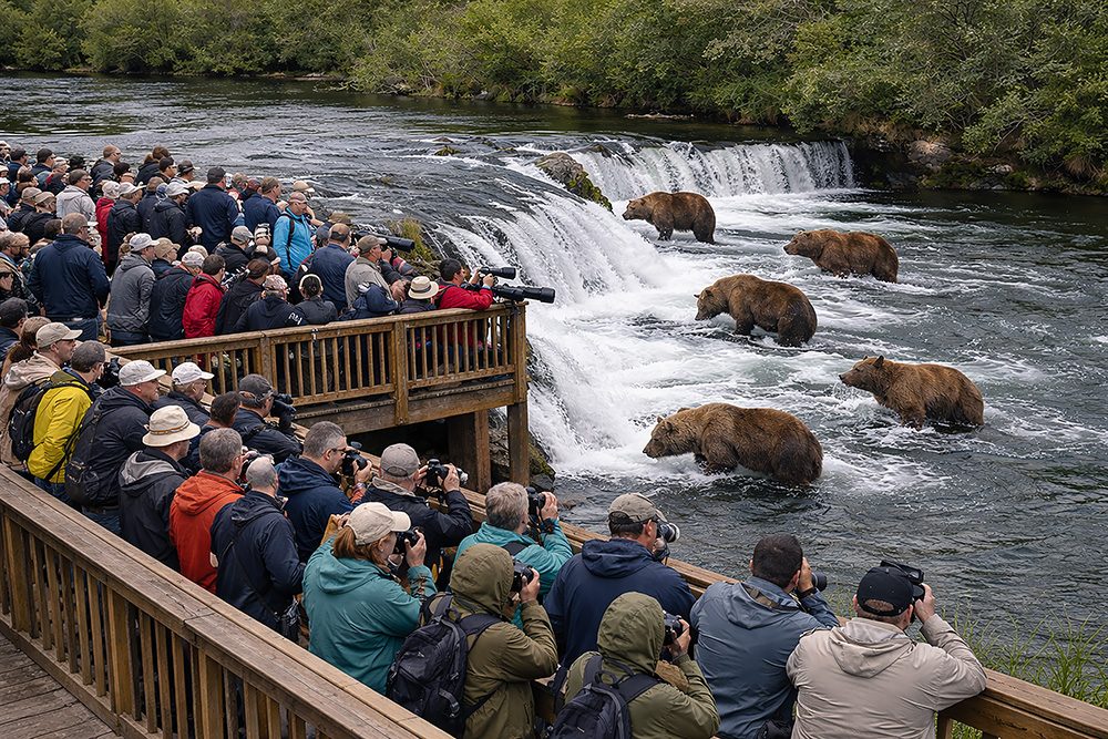 Brooks Falls Katmai Bear Viewing in a Float Plane