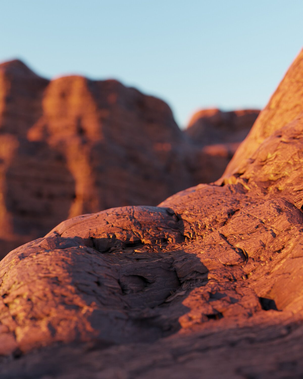 Ahmed Ale Salt Canyon