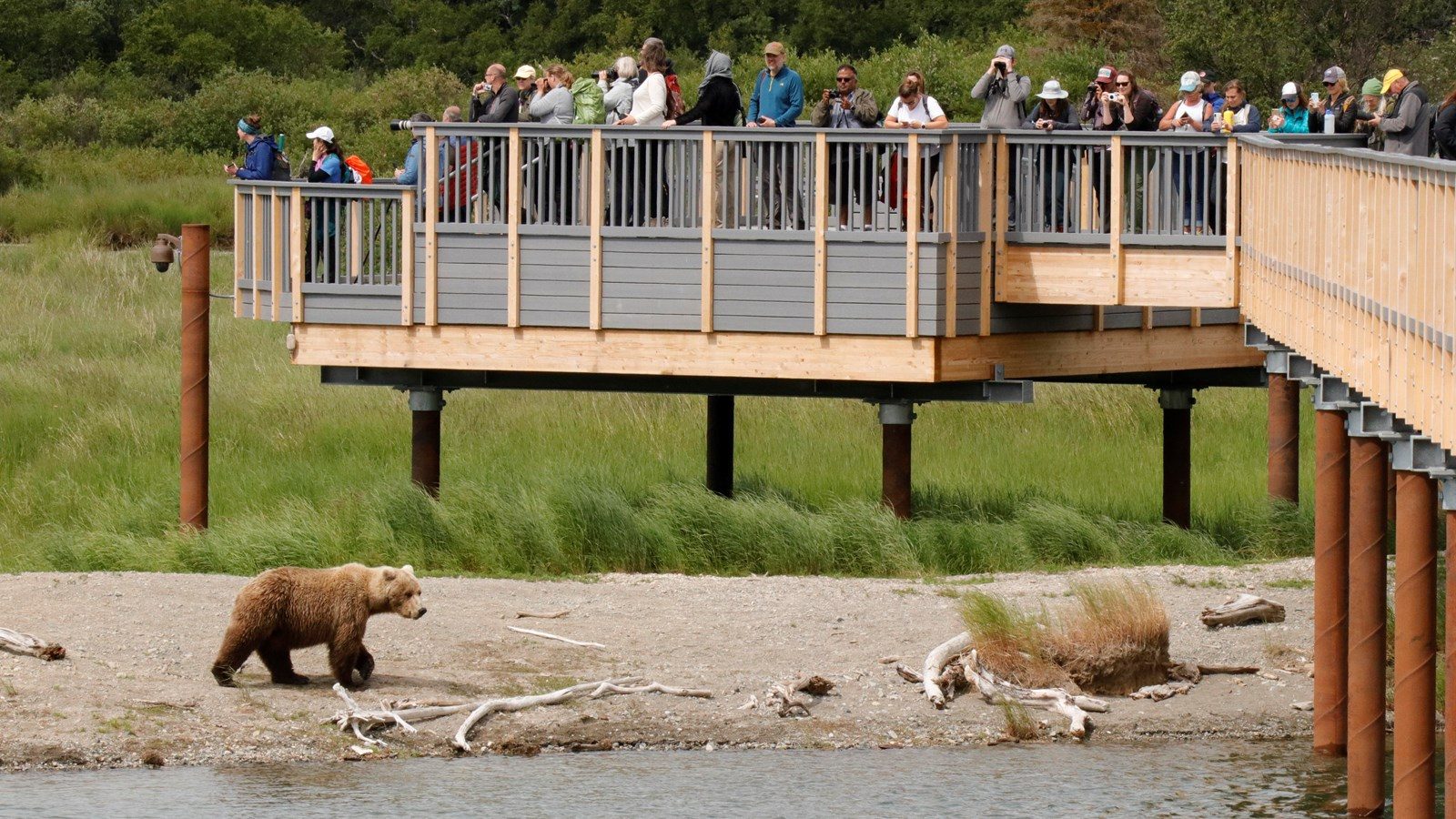 Lower River Platform