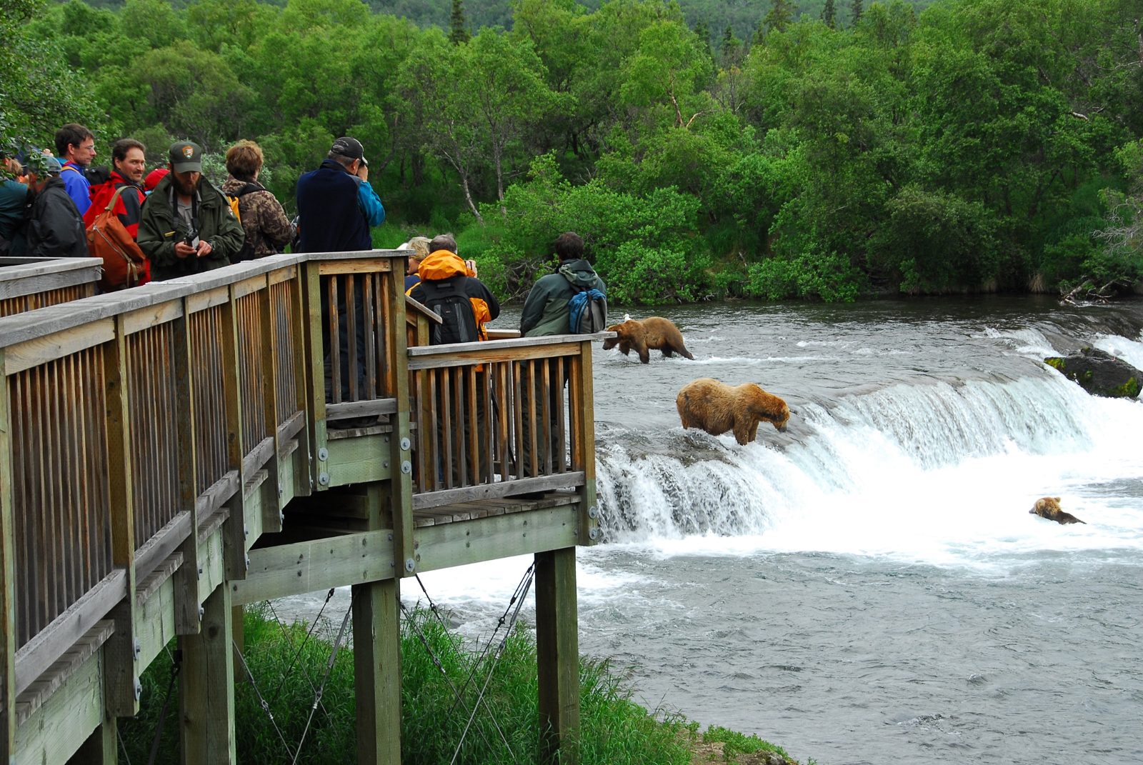 Brooks Falls Platform