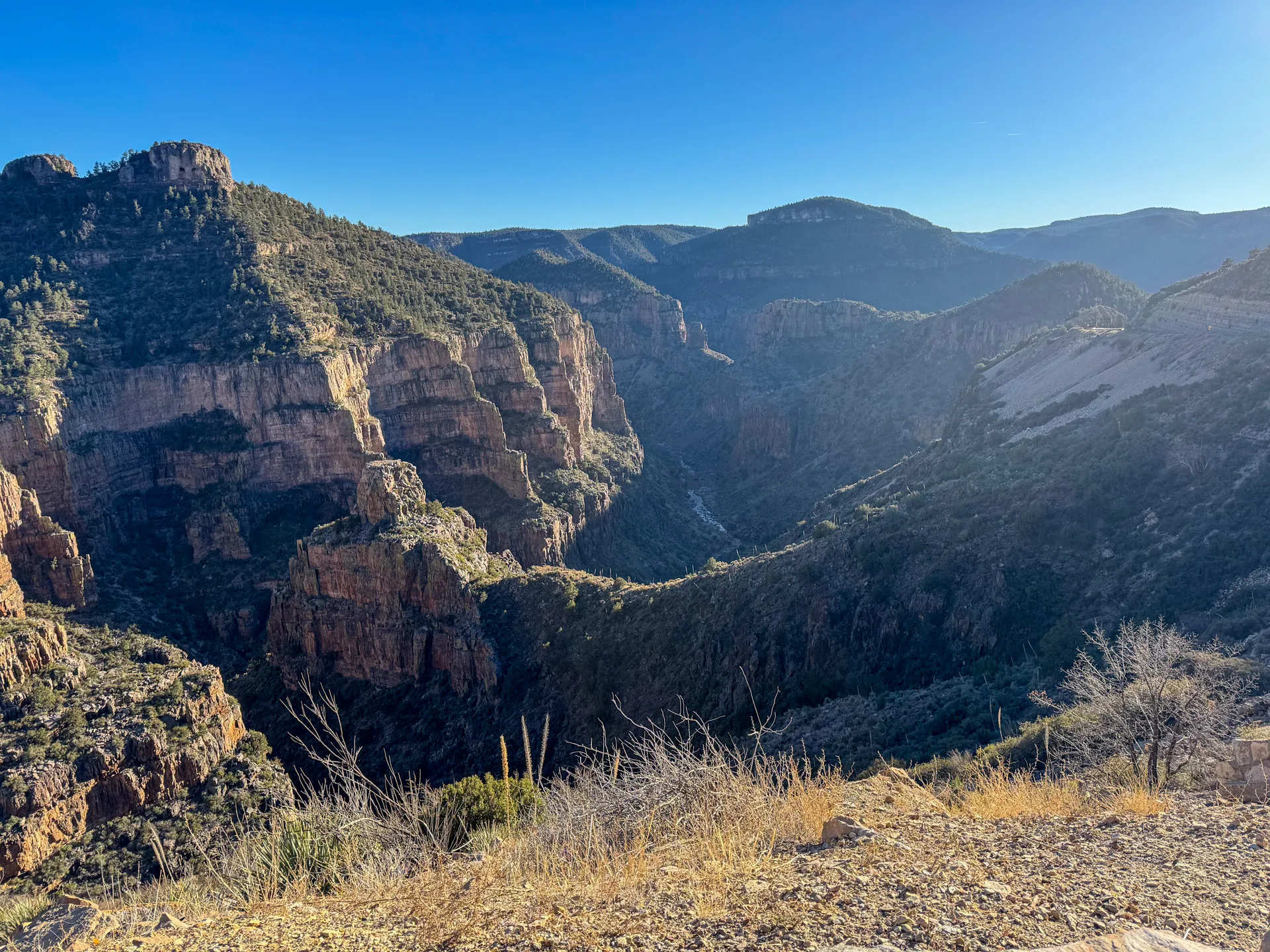 Ahmed Ale Salt Canyon