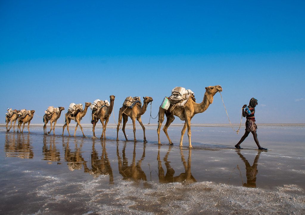 Danakil Depression 3 Days Tour