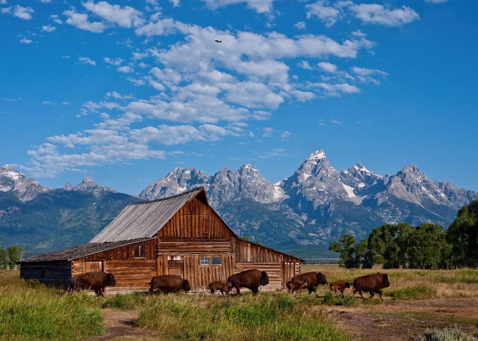 Teton Village Perimeter
