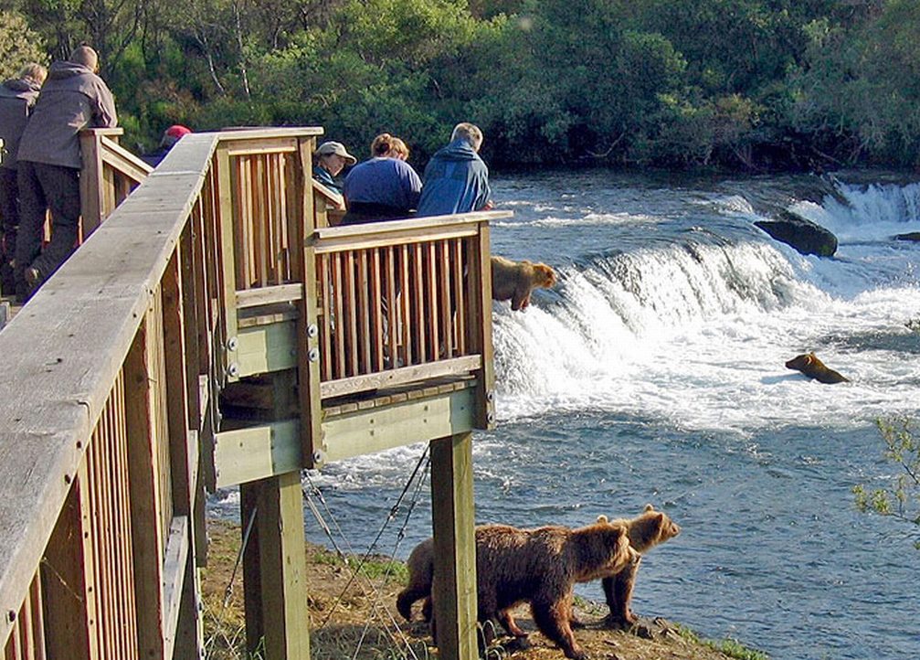 Bridge Observation Point