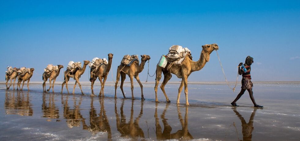 Lake Assal Salt Flats