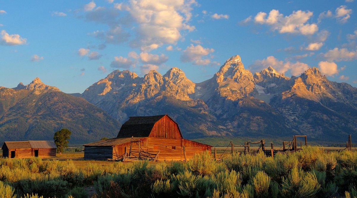 Mormon Row Distant Perspective