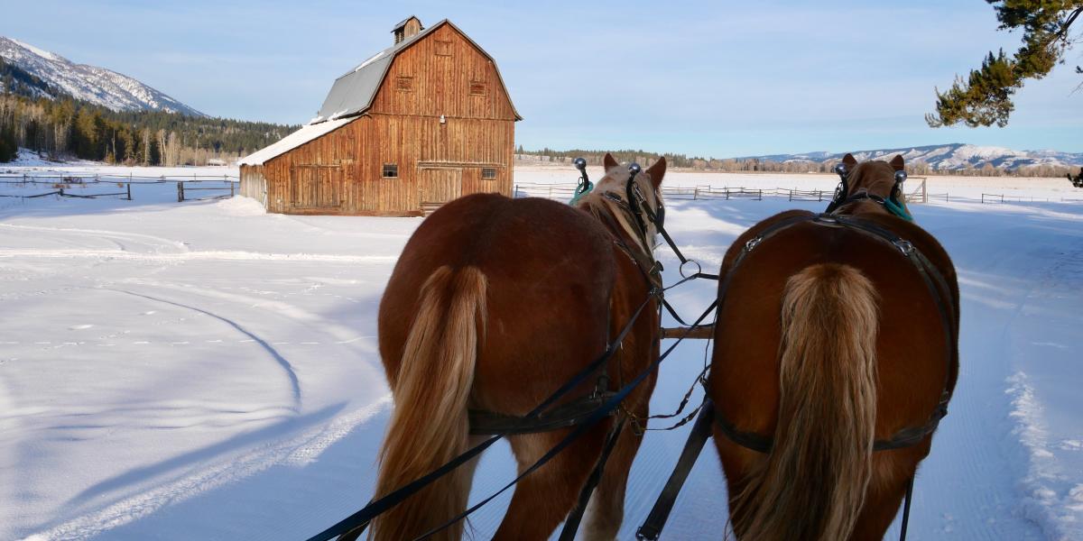 Grand Teton National Park Ranchlands