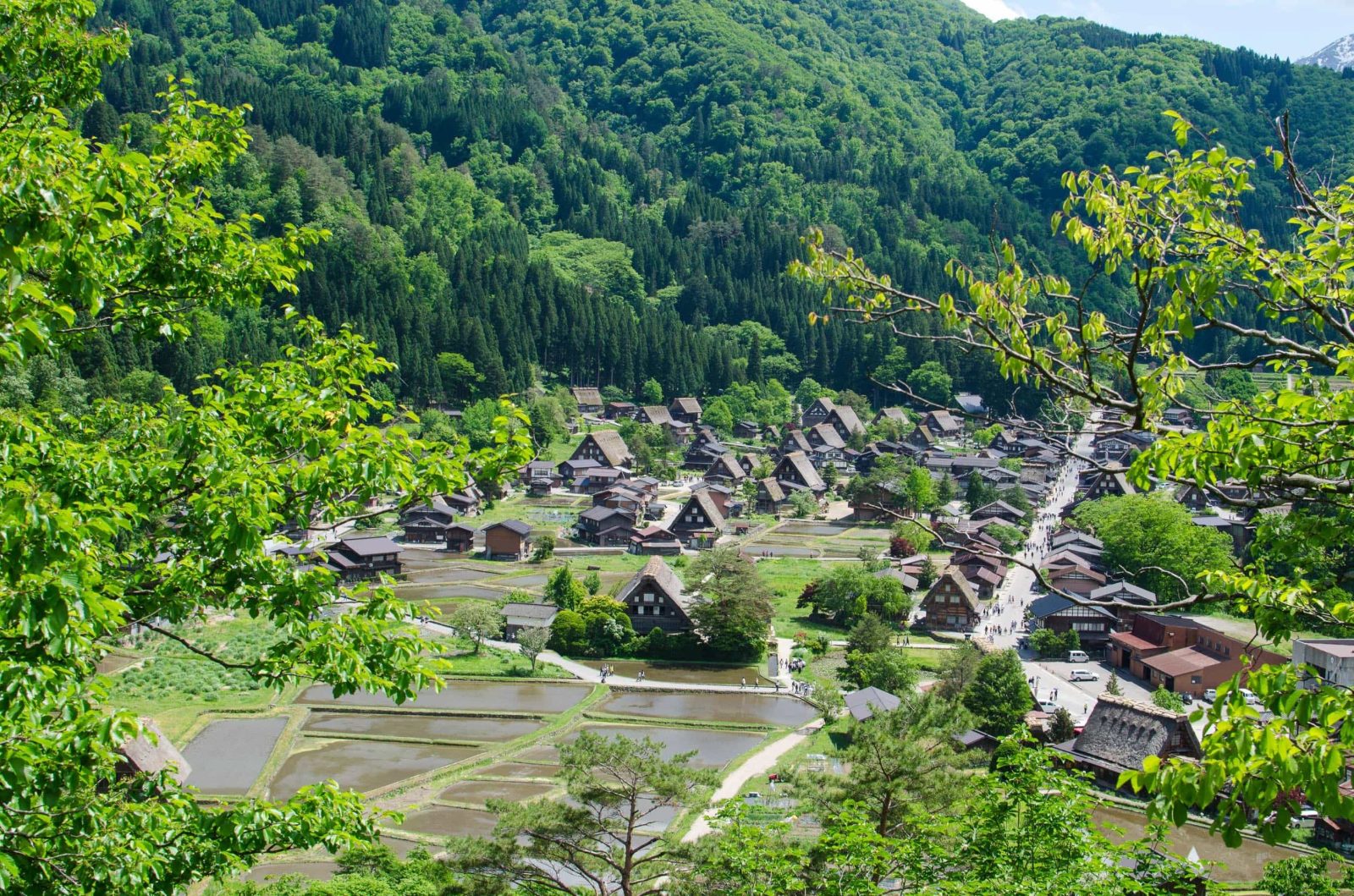 Shiroyama Viewpoint