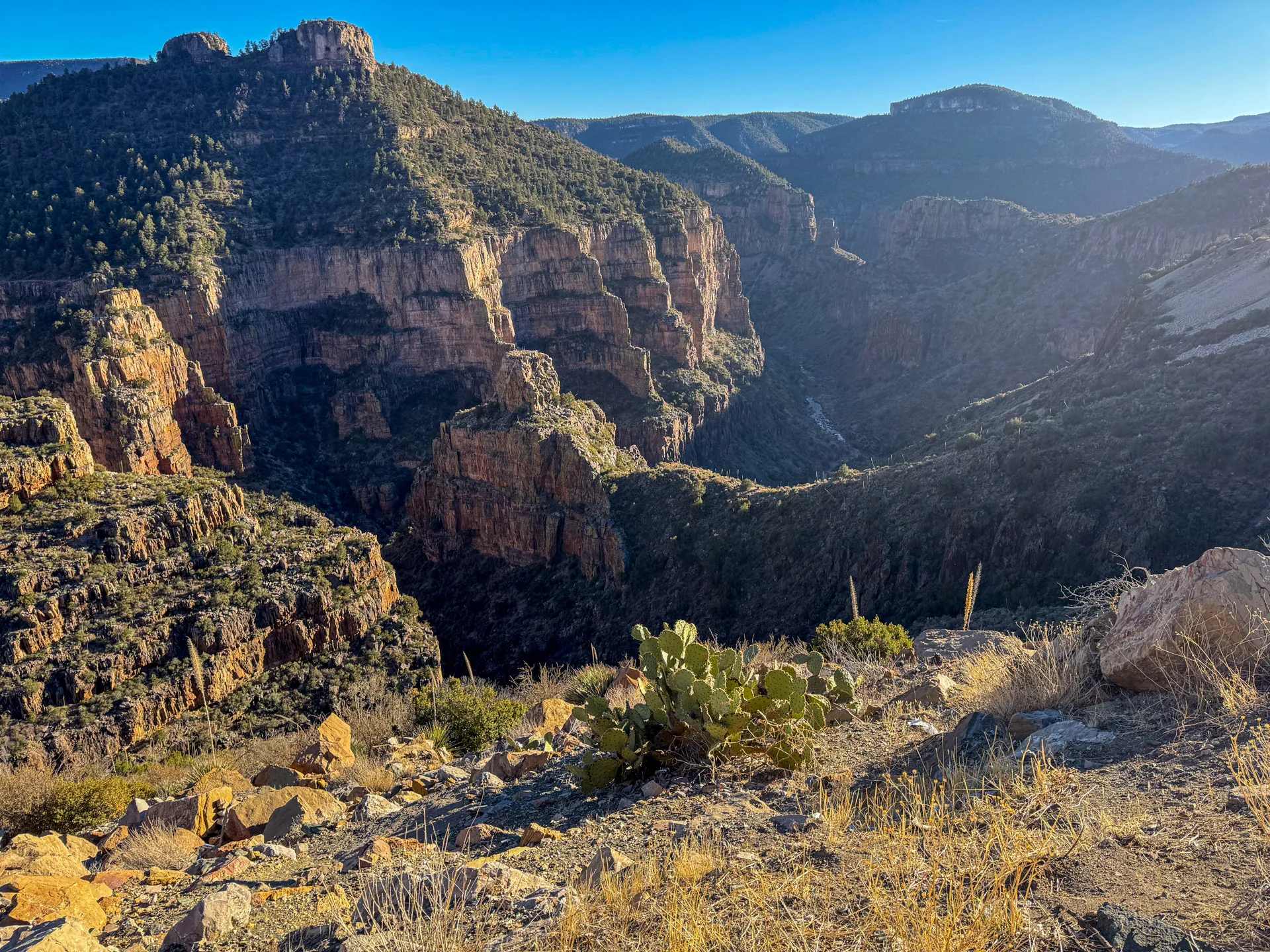 Salt Canyon