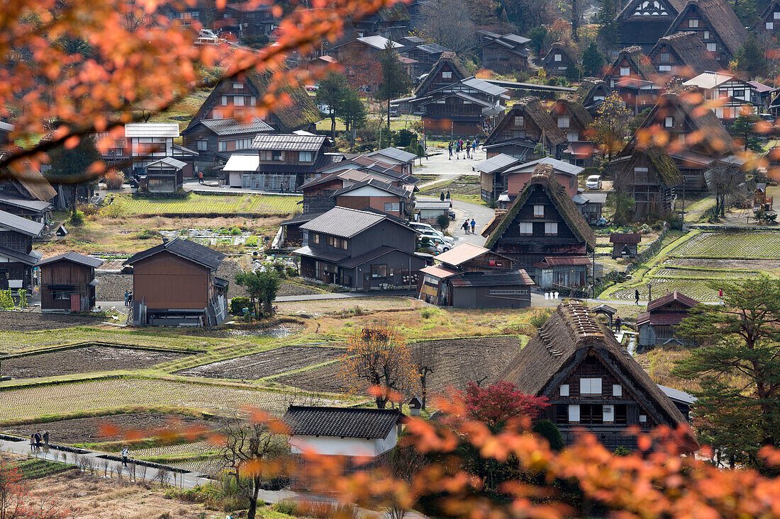 Ogimachi Village Main Street