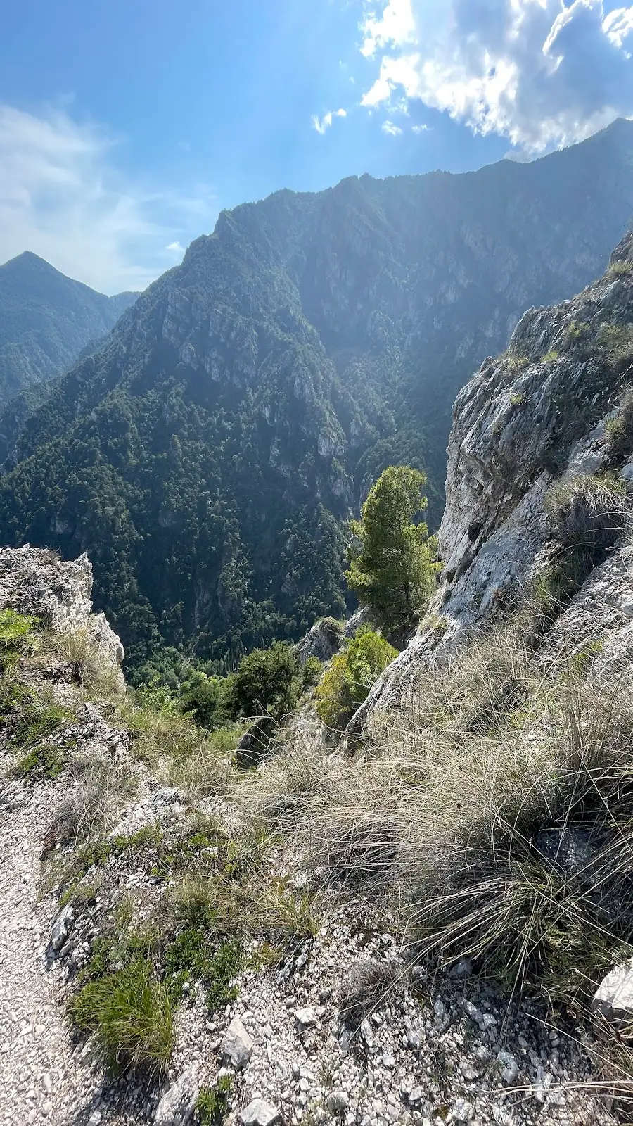 Descent