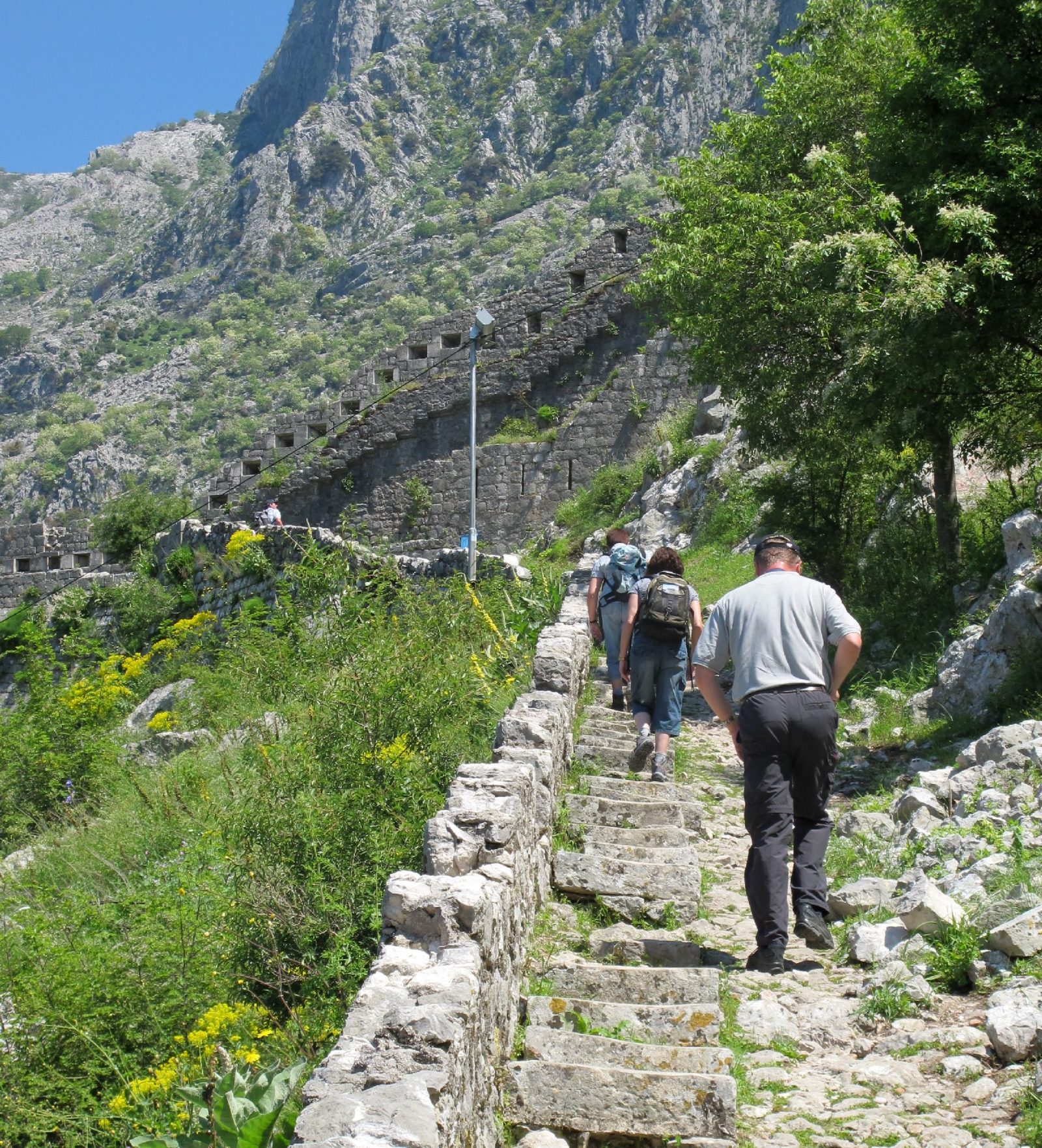 Day Trip to Bay of Kotor From Dubrovnik
