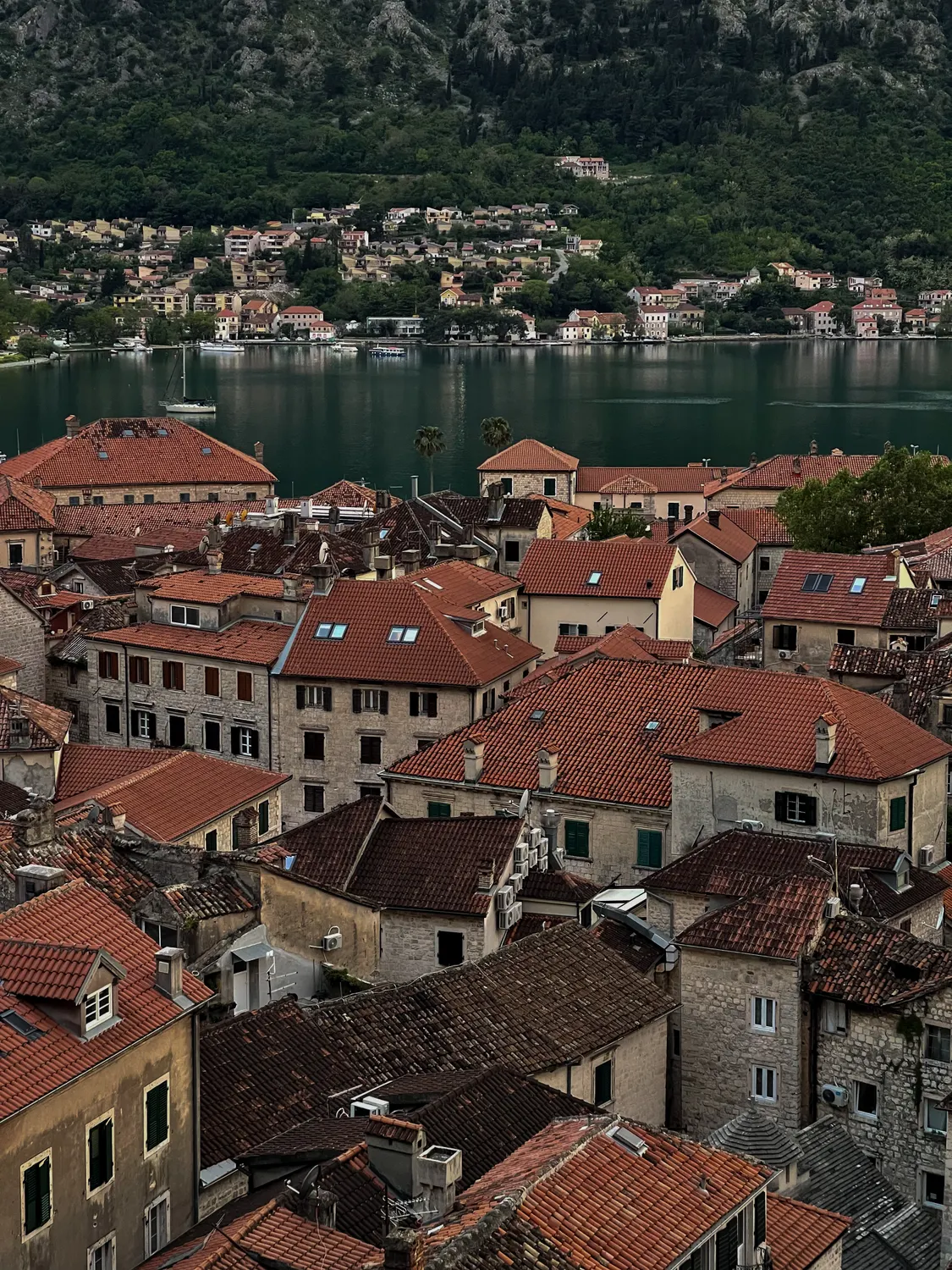 Kotor Old Town Viewpoint