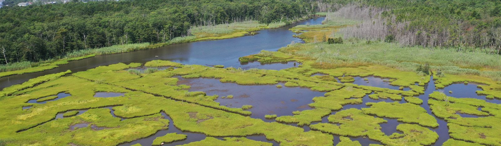 Back Bay Estuaries