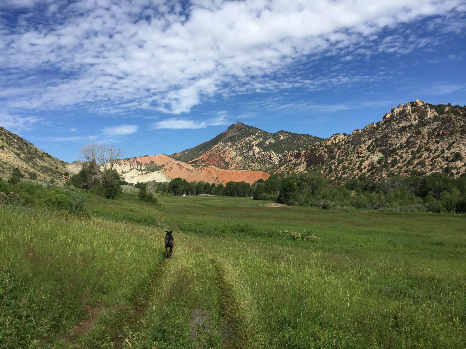 Sheep Creek Ranch