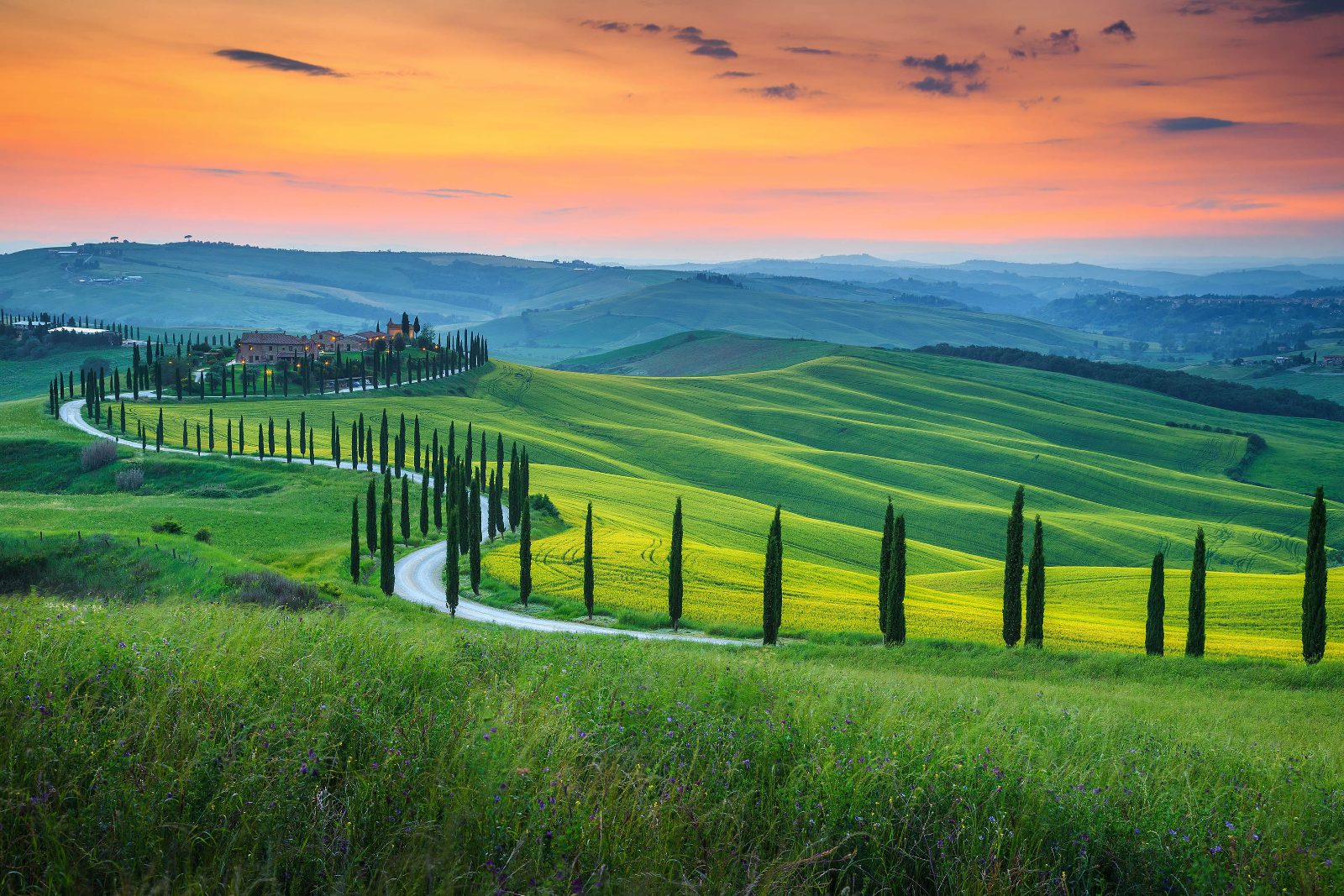 Chianti Vineyard Views