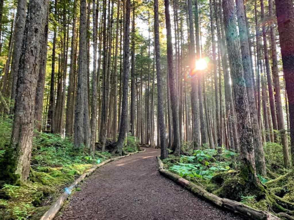 Beachfront trails