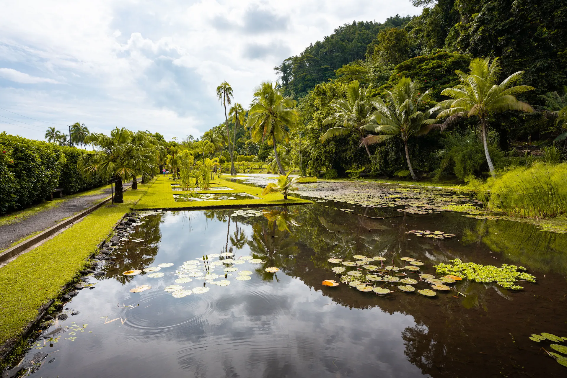 Vaipahi Gardens