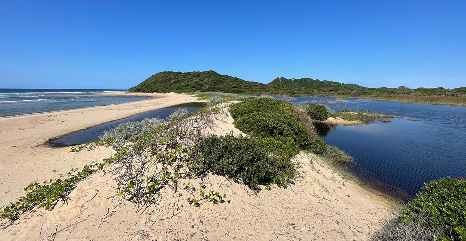Dune Vegetation Corridor