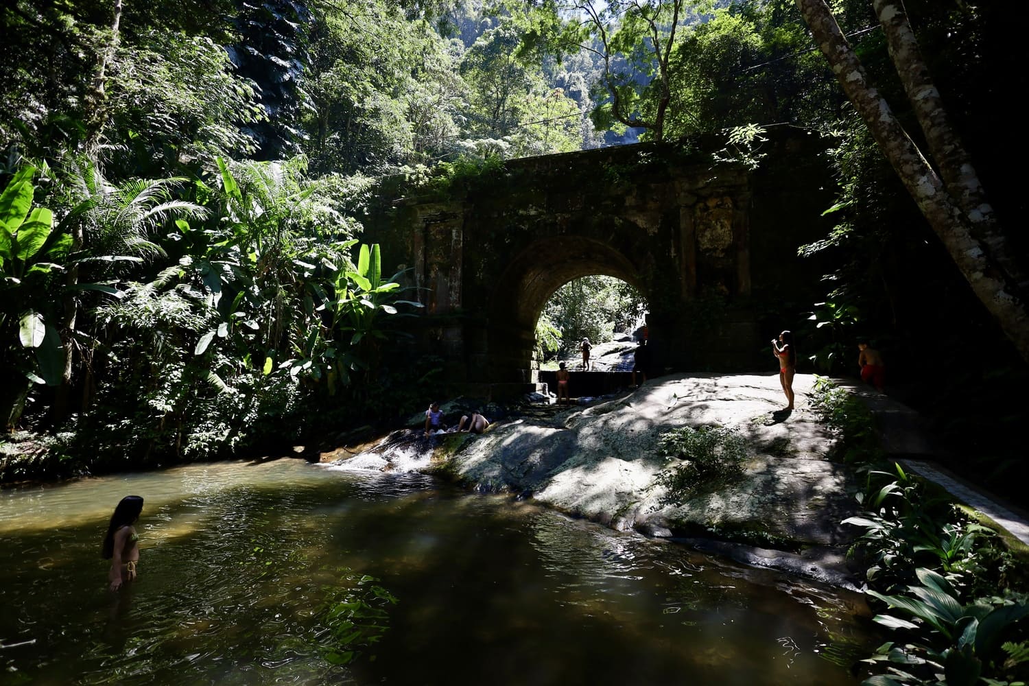 Tijuca Forest Hike
