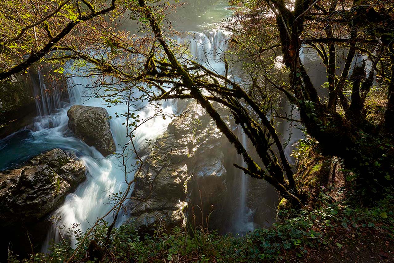 Dadiani Waterfall Path