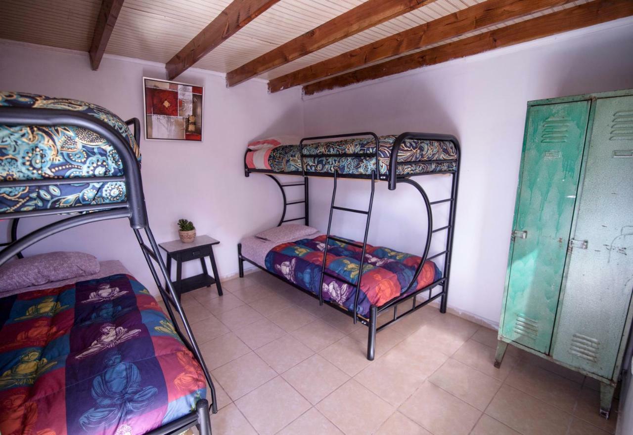 Hostel Mamatierra