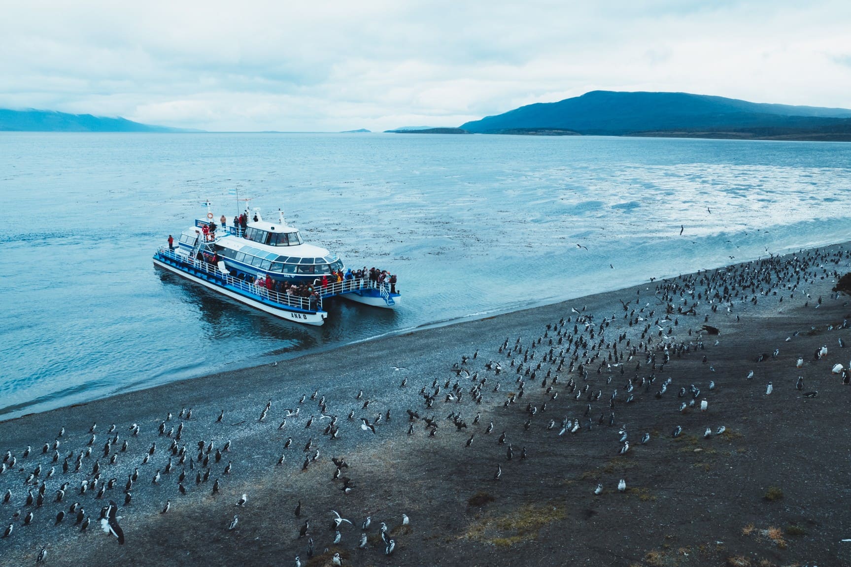 Beagle Channel Viewing Deck
