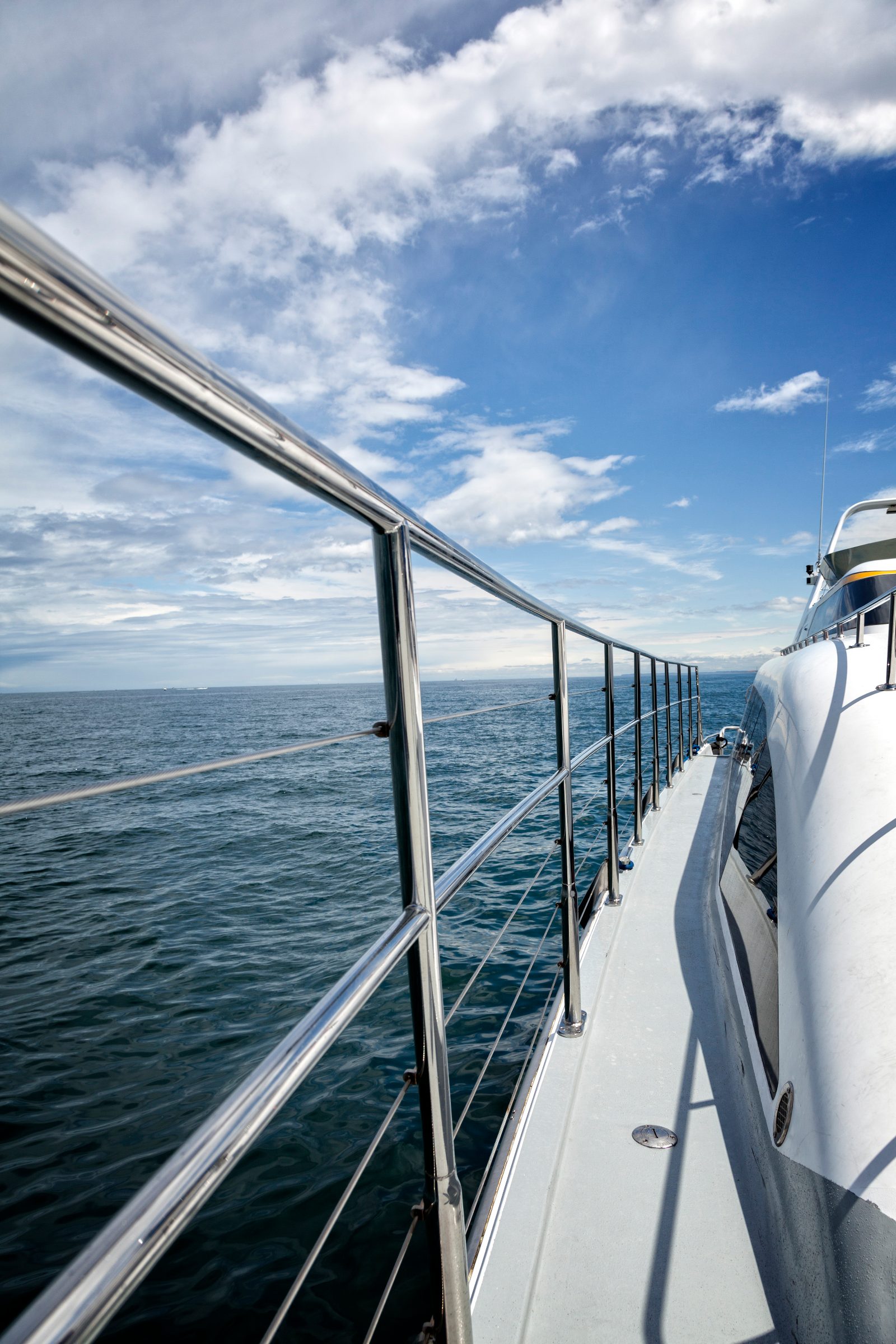Starboard Side Rail