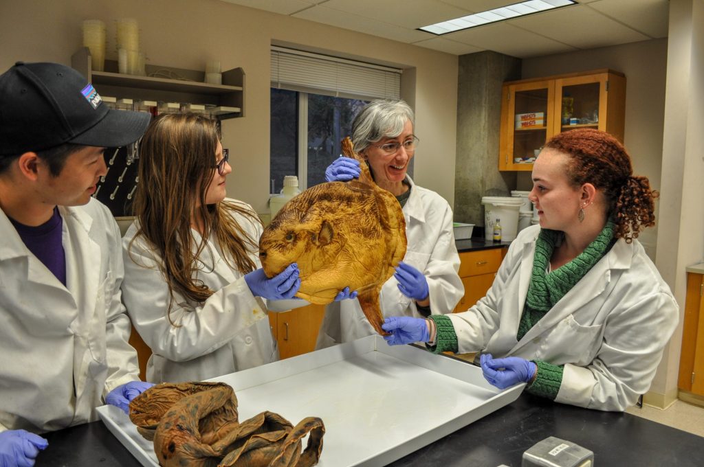 Marine Biology Station