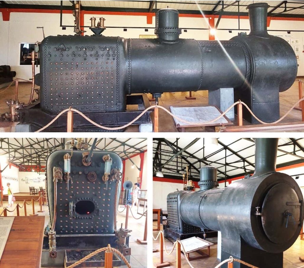 Tea Processing Floor