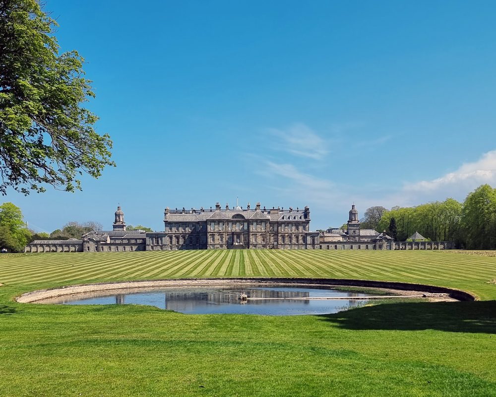 The South Garden
