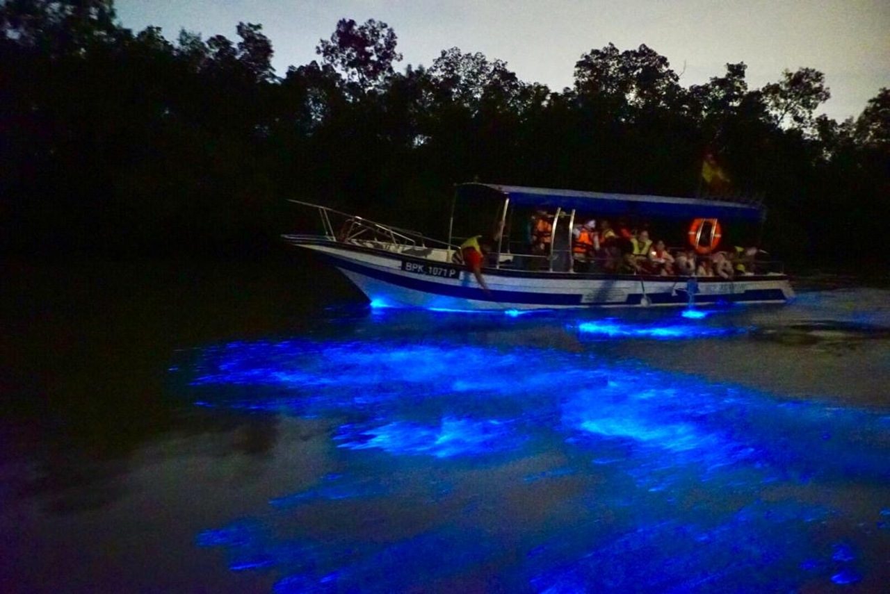 Kuala Selangor Blue Tears
