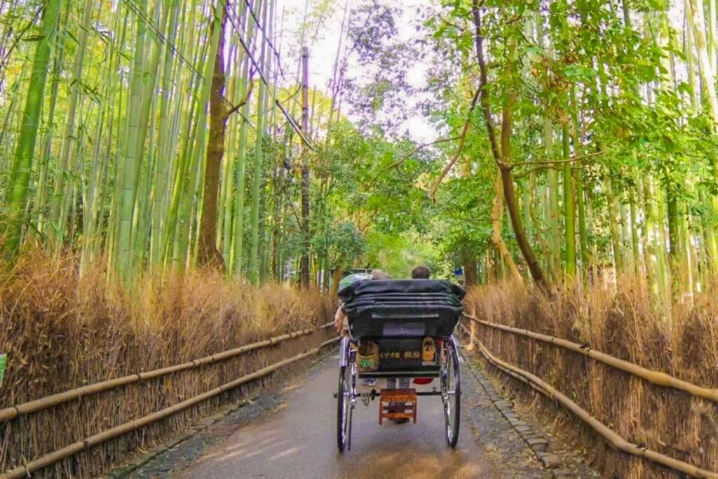 Arashiyama Rickshaw Tour