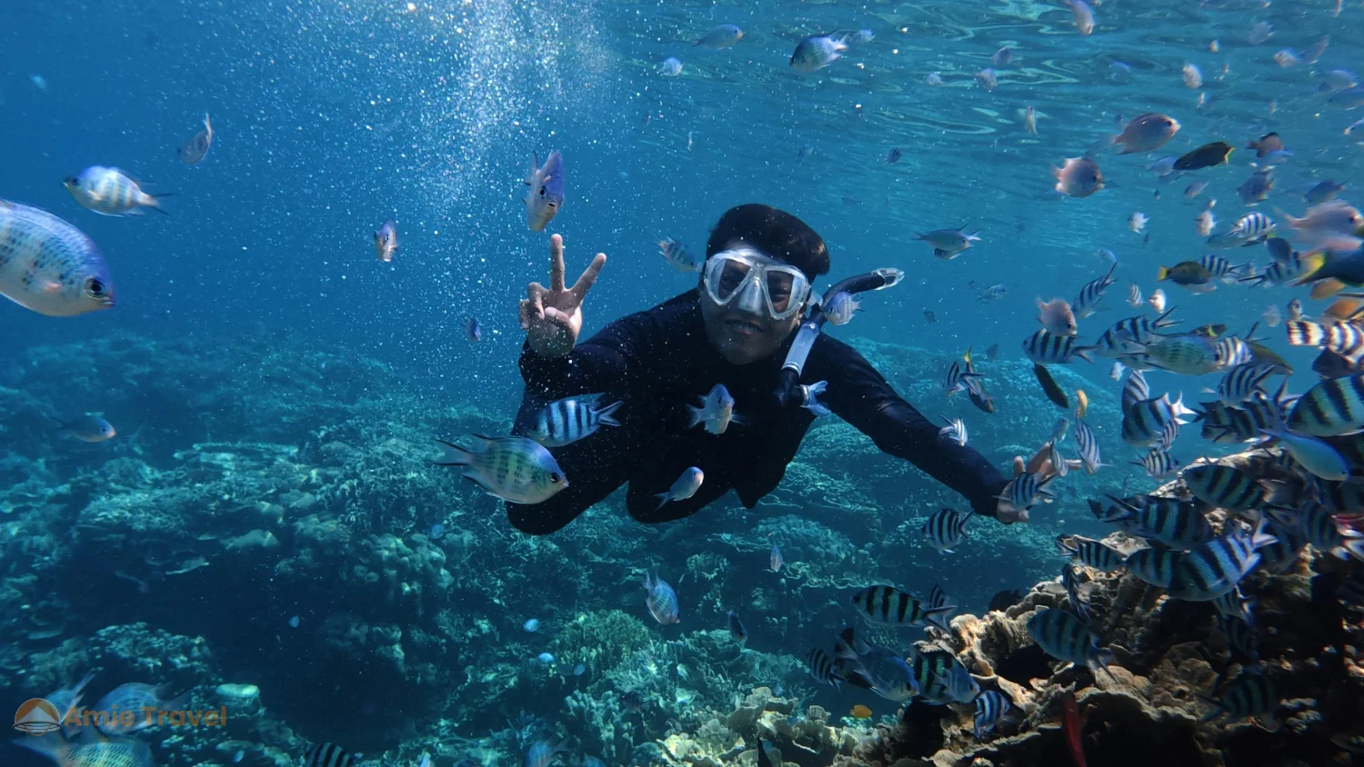 Hon Mun Coral Reef