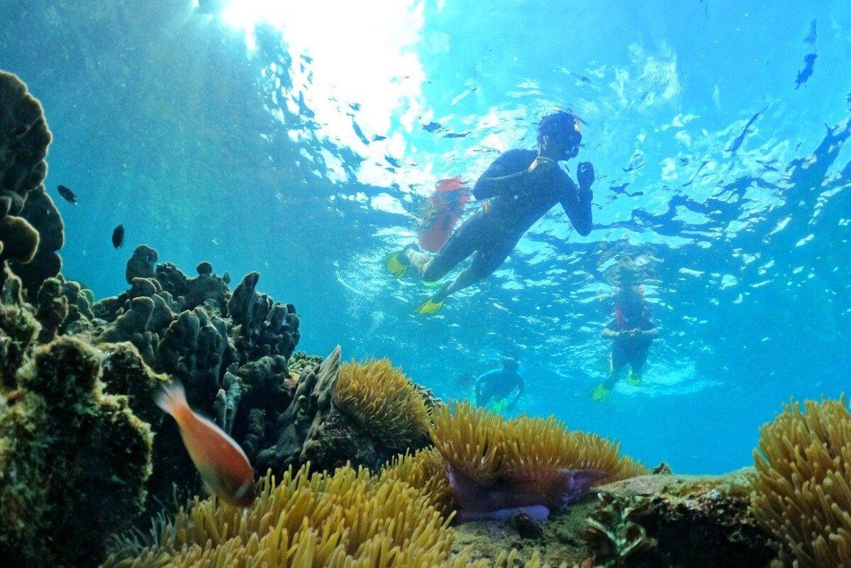 Nha Trang Snorkeling