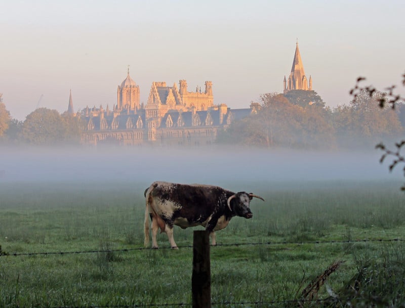 Christ Church Meadow