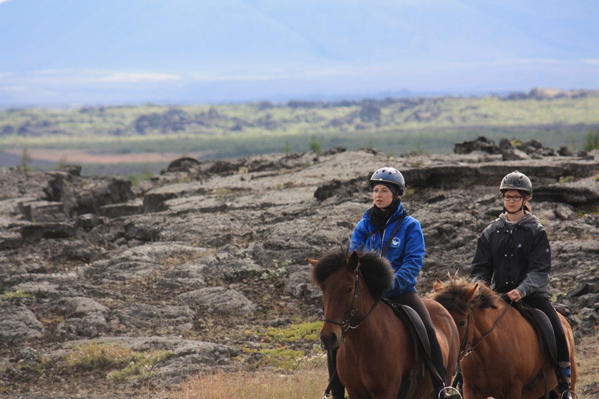 Lava Horseback Riding Iceland