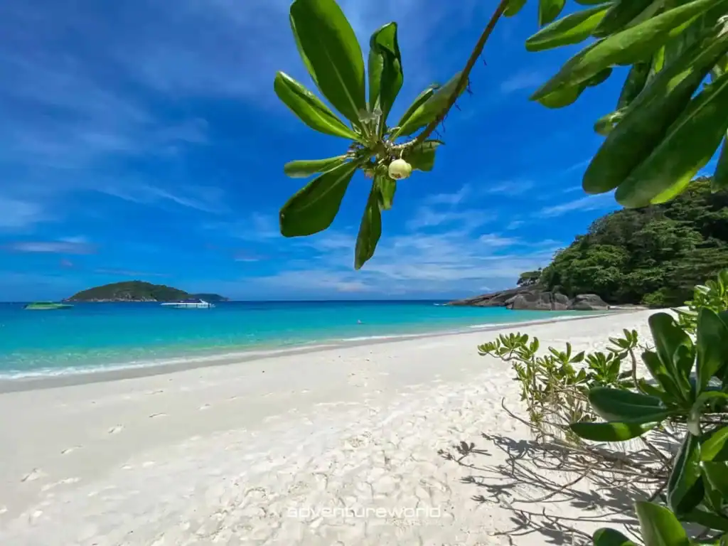 Koh Miang Beaches