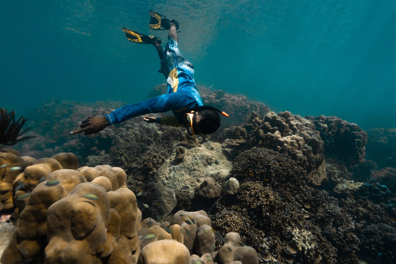 Snorkeling Session