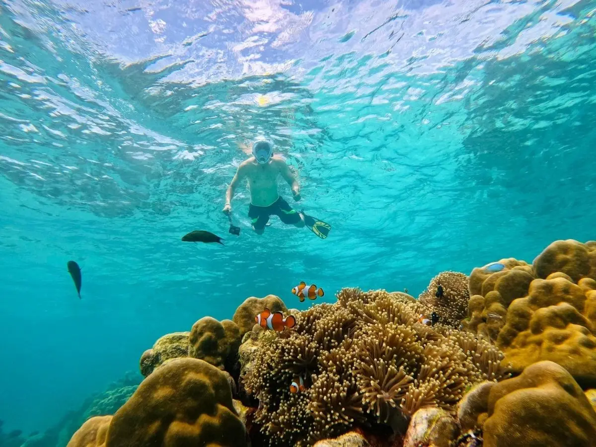 Coral Gardens