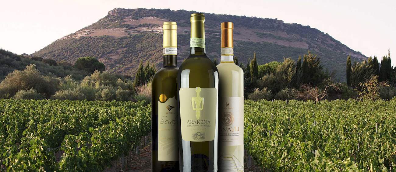 Olbia Wine Tour
