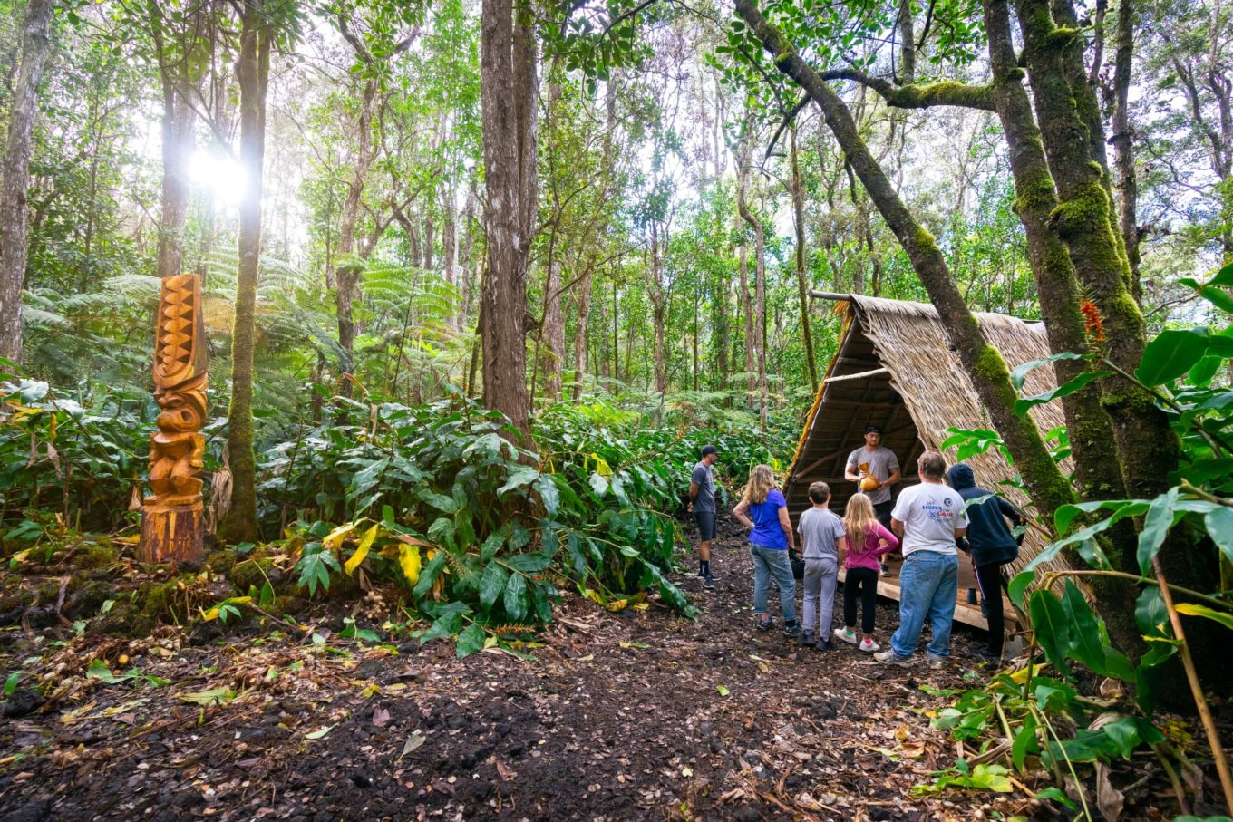 Farm Cultural Canopy