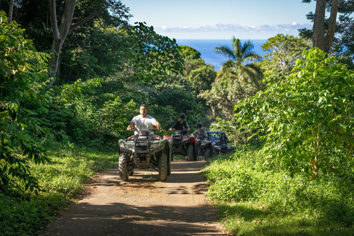 Polynesian Atv Tour