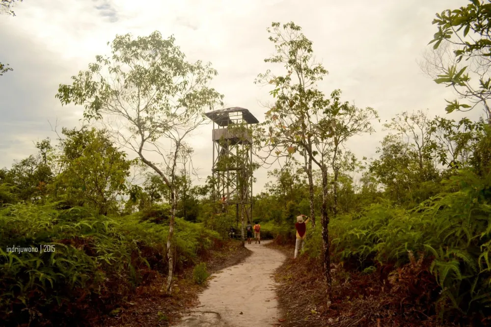 Pondok Tanggui