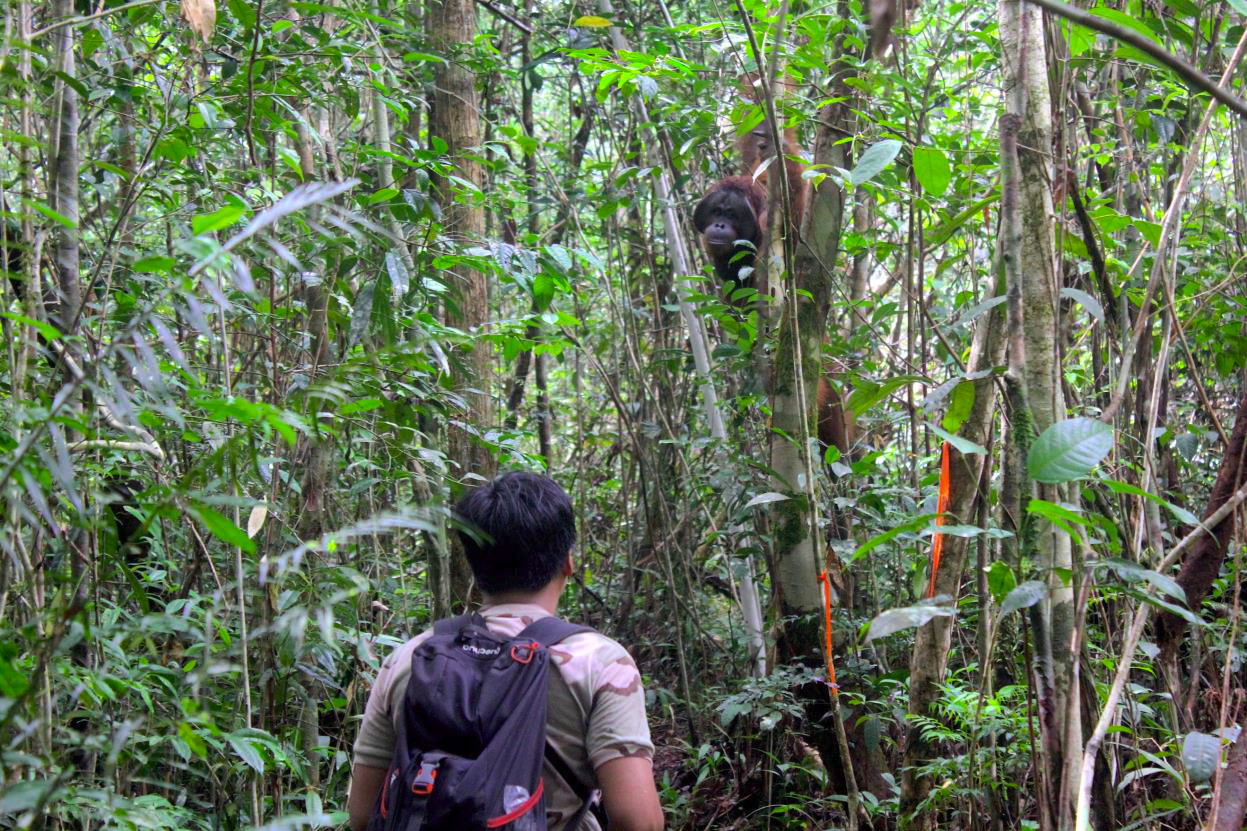 Camp Leakey