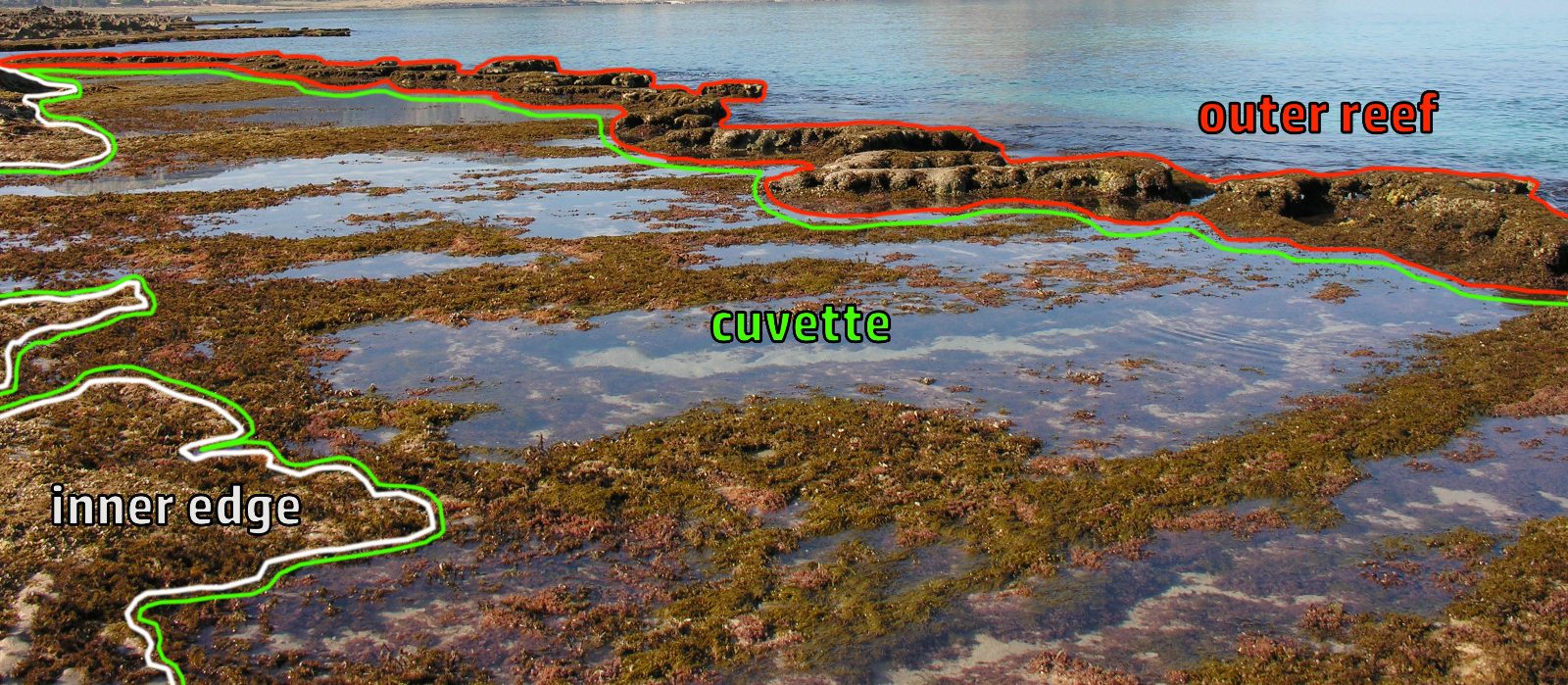 Vermeti Reef