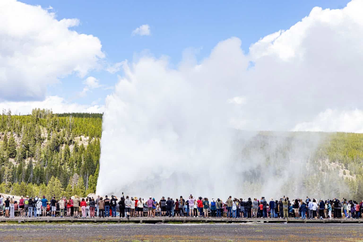West Yellowstone Tours Summer